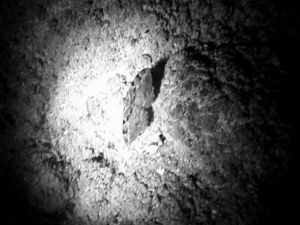 大家一起来看看,这是蛾子还是蝴蝶?这张照片就是江苏高考材料作文原文作者当年在山洞探险时拍下的。(