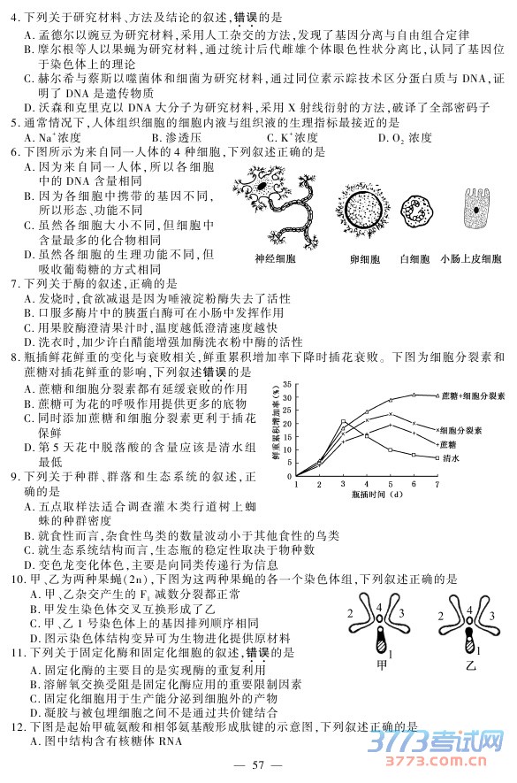 2015ո߿⼰𰸷