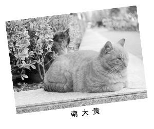 ܽйѧ黳а񣺸У