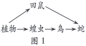 图片22.png 2014年6月广东学业水平测试试题 广东高中学业水平考试生物答案