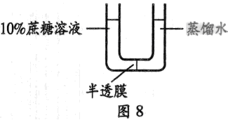 图片32.png 2014年6月广东学业水平测试试题 广东高中学业水平考试生物答案