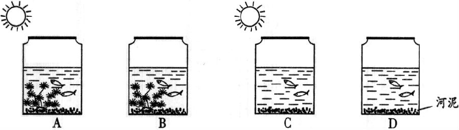 图片29.png 2014年6月广东学业水平测试试题 广东高中学业水平考试生物答案