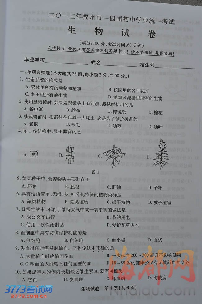 2013긣пԾ