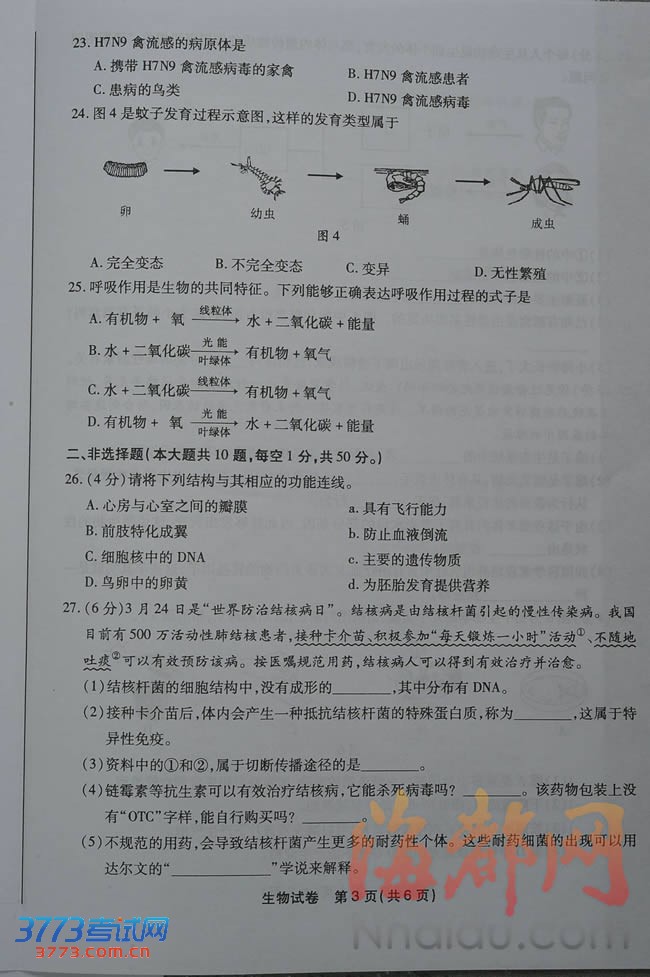 2013긣пԾ