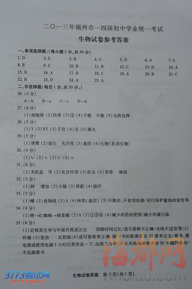 2013긣пԾ