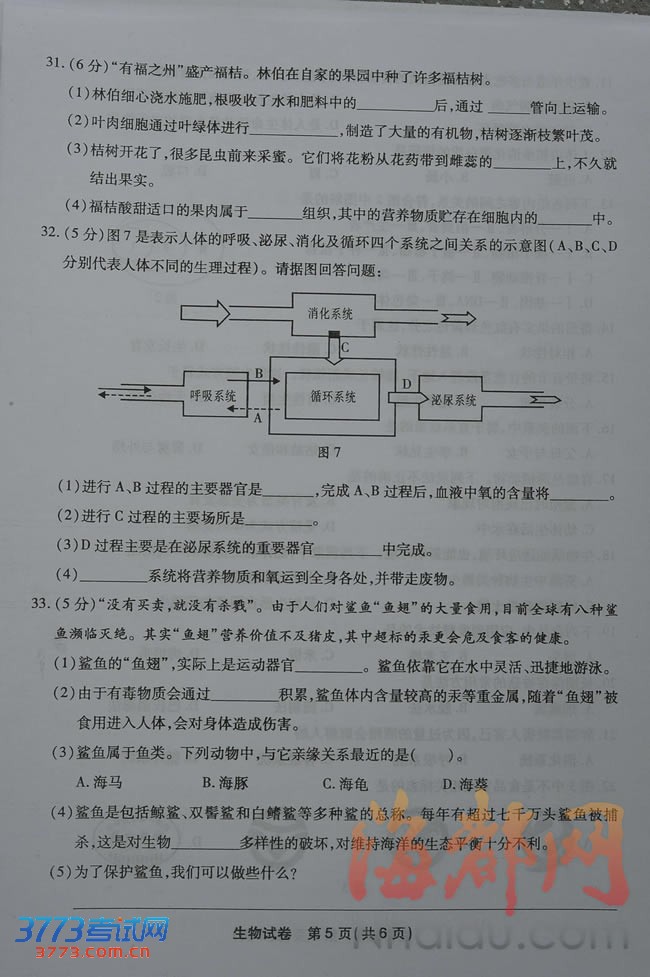 2013긣пԾ
