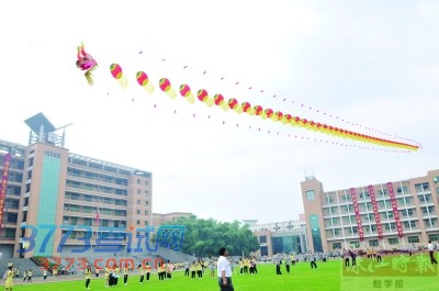 01.jpg
